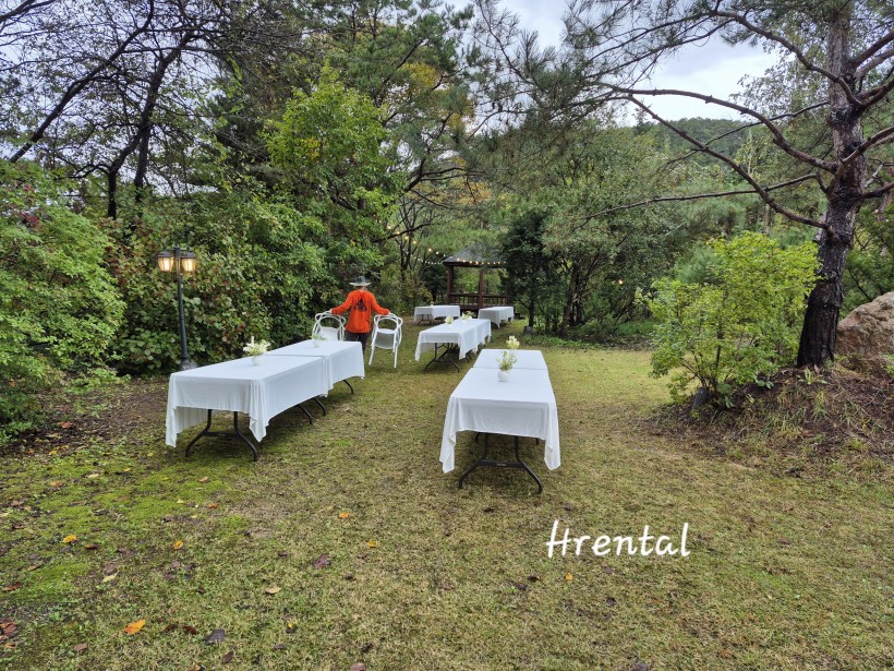 79ecb1ba6b2ecde84aa943e896a2782e_1762396